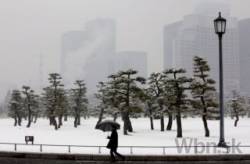 v japonsku zuria snehove burky