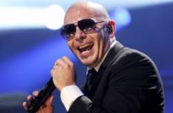 pitbull