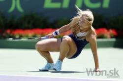 dominika cibulkova agnieszka radwanska