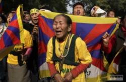 tibetania protestuju v indii