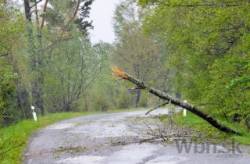 v tatrach padaju stromy viacere cesty museli uzavriet