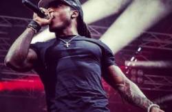 acehood