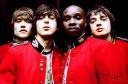 the libertines