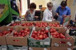 potraviny paradajky trh