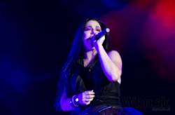 amy lee