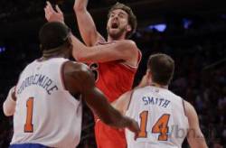 pau gasol