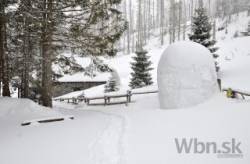 pri rainerovej chate vyrastla snehova kraslica