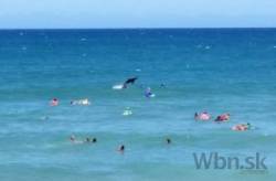 australia zatvara plaze zralok napadol dalsieho surfistu