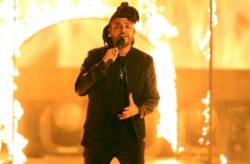 the weeknd