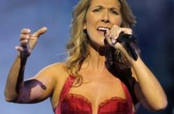 celine dion