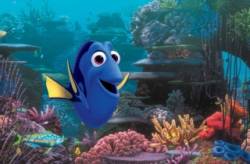 hlada sa dory