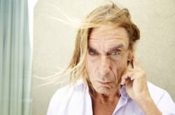 iggy pop