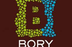 bory mall logo