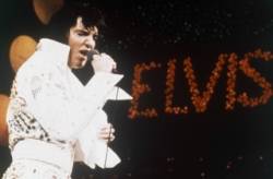 elvis presley