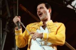 freddie mercury