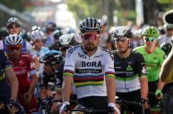 peter sagan