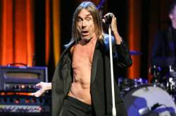 iggy pop 640x420