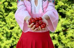 img_3621 640x420