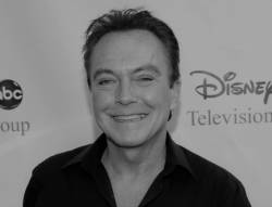 obit_david_cassidy_81636 3caf947d87d74f23a6ef8d7ad74d0695 676x517