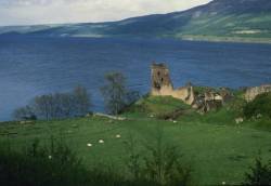 loch_ness_84356 bcaa8a180702467e878eccdc11773ad5 676x466