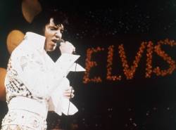 elvis_week_33600 cd488f219633421d956cb9007e5e8ad3 676x501