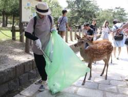 japan_nara_deer_18510 7656b1f1314d436dac7c2d130ce5c19c 676x513