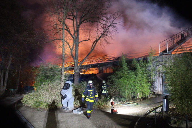 germany_zoo_fire_35073 a6384b6354964ce89b5fb00d1933087b 676x451