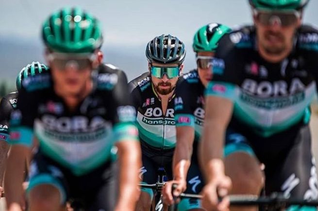 peter sagan bora hansgrohe