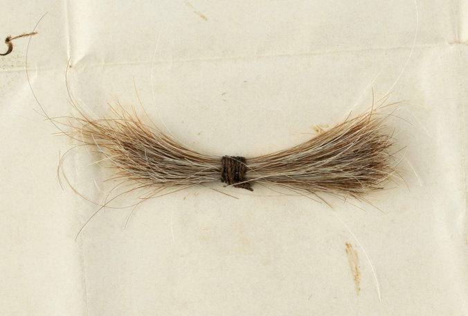 abraham_lincolns_hair_auction_90464 81be3802d96c4925b92a36a8773d0d6e 676x456