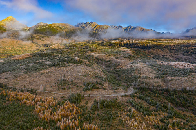 tatry_lesy_nov2020_fullres_003 676x450