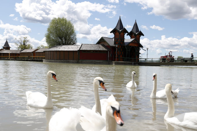 hungary_lake_balaton_41191 cabe5cb0f38744839aeac2d3bc699a44 676x451