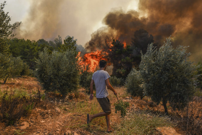 turkey_wildfire_32291 d3f704f4673d4e37a1e6118fca81d690 676x451