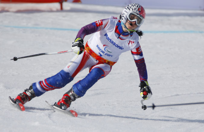 sochi_paralympics_alpine_skiing_ladies bc8e4c3b44a44b6d9ff44b3f19ce0882 676x439