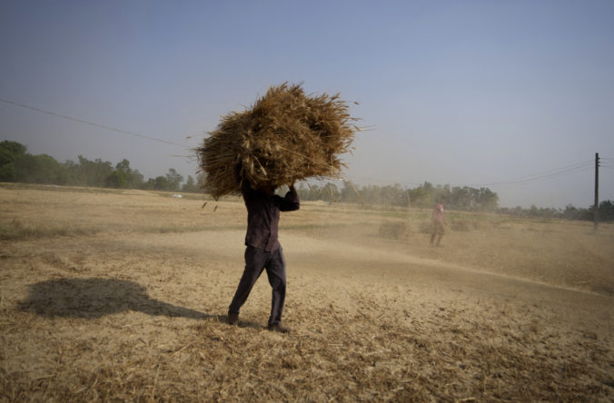 india_wheat_export_67294 c0bbb60bfb6749628c7ba84d6e7b019a 676x444