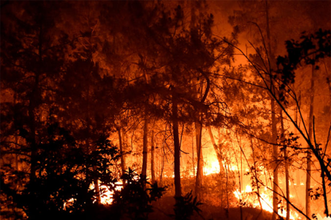 france_wildfires_01876 8967b83382a244c4b46e2c2e205aab60 676x451