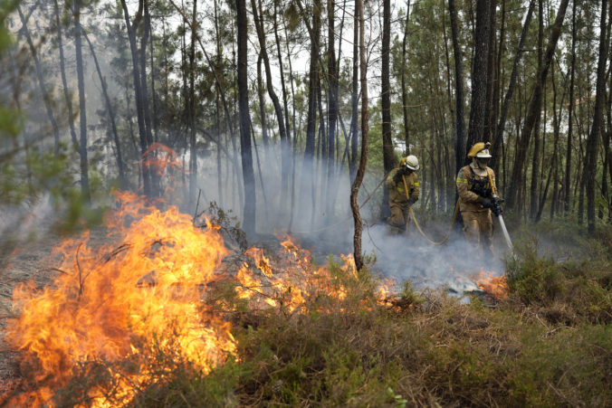 portugal_forest_fires_11882 3845db2cc94440369f67d28a603cbb00 676x451