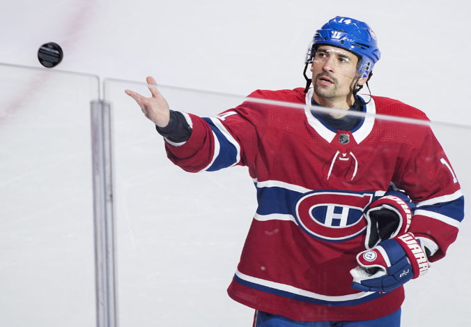 plekanec 676x469