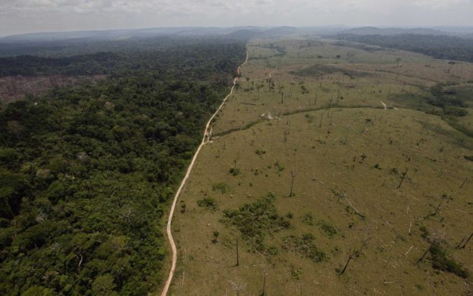 brazil_environment_44664 712eac6c9f774ab0a8d3fdb96720f1c9 676x423