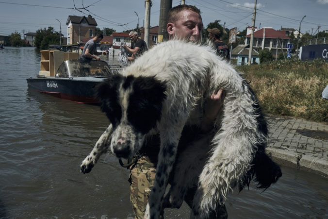 russia_ukraine_war_animal_rescue_76131 676x451