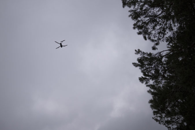 ukraine_belarus_border_04315 676x451