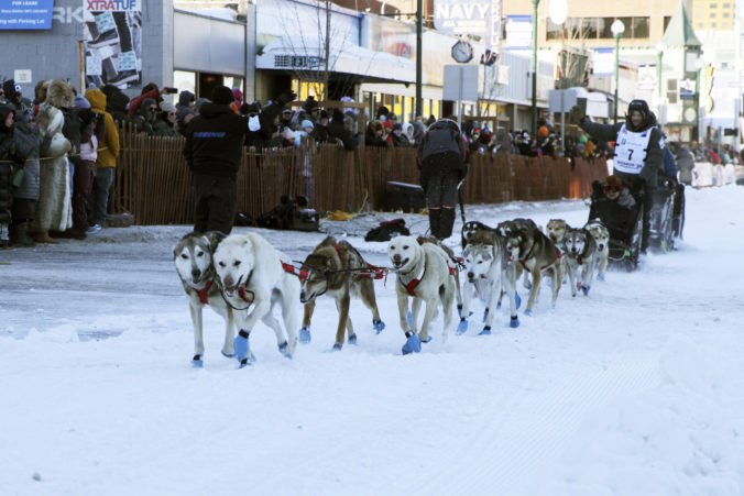 iditarod_44227 676x451