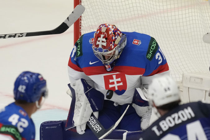 czech_republic_ice_hockey_worlds_29782 676x451