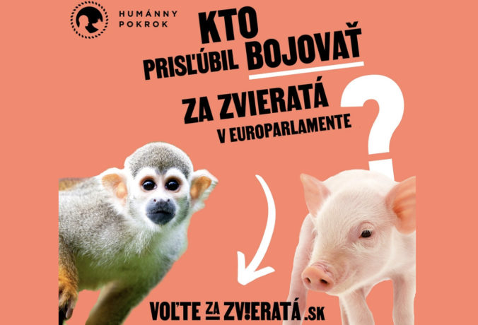 sni mka obrazovky 2024 05 27 o 16.48.38 676x460