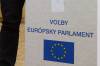 Eurovoľby poslúžia ako referendum o úradujúcej vláde vo viacerých štátoch, voličov trápia najmä domáce problémy