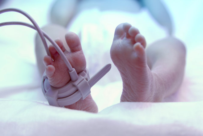 thinkstockphotos 494058277 676x451