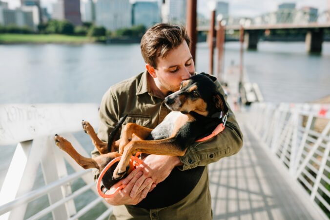 chewy nprk_w6tcq4 unsplash 676x451
