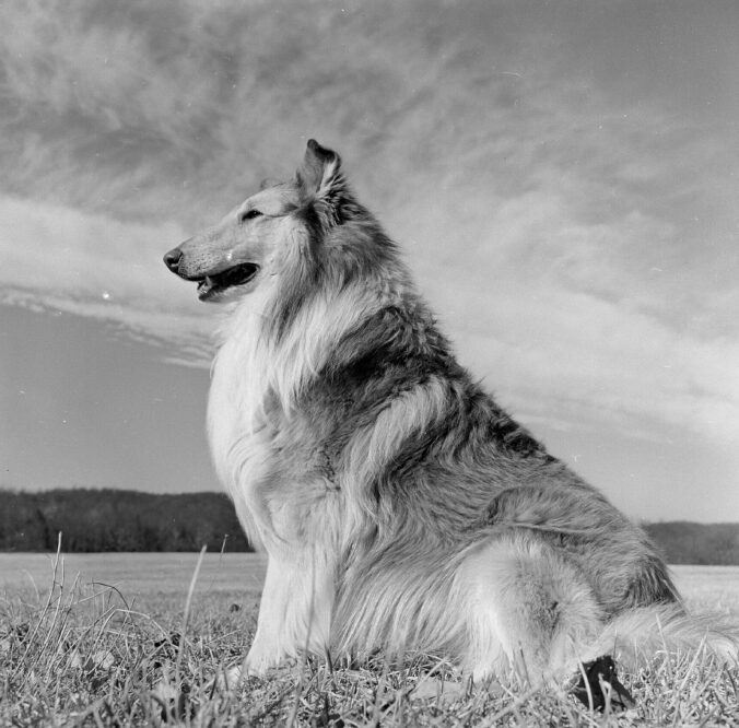 gettyimages hn3688 001 676x666