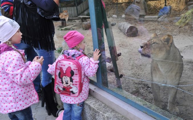 zoo 676x422