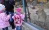 ZOO Bratislava otvára nové krúžky pre deti. Čakajú ich výpravy do divočiny, stretnutia so zvieratami aj záchranné programy