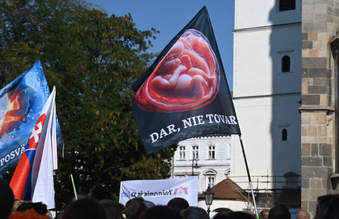 66f01e4aadf68534742056 676x438